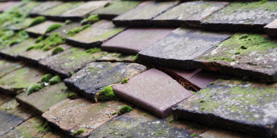 Pengorffwysfa roof repair costs